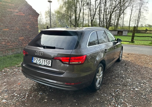 Audi A4 cena 75999 przebieg: 167000, rok produkcji 2016 z Warka małe 379